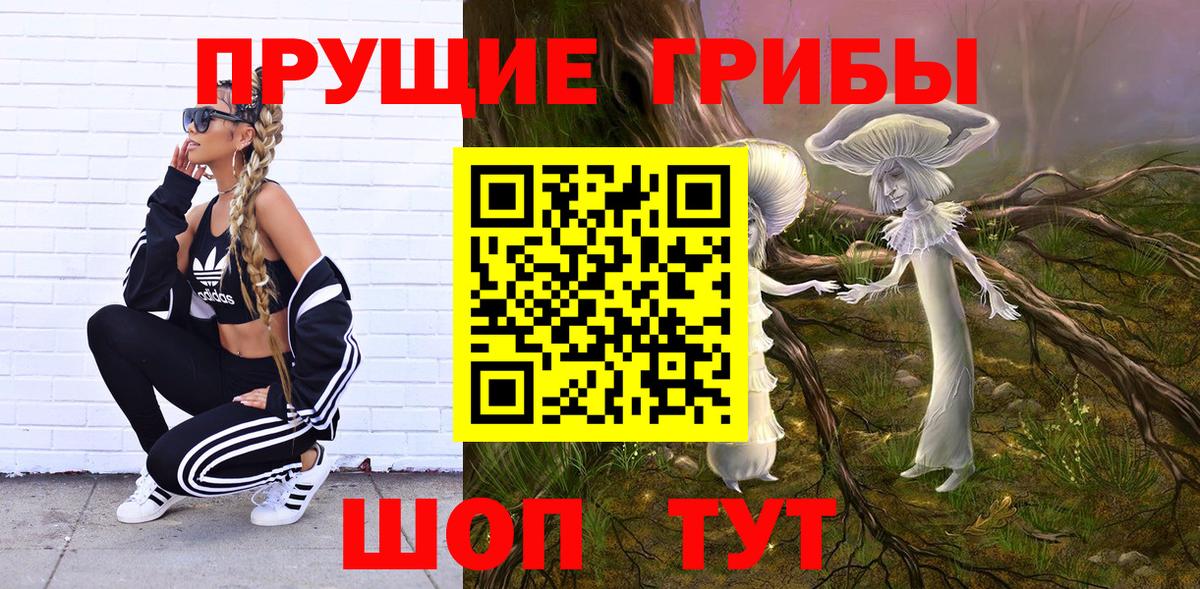 Псилоцибиновые грибы MAGIC MUSHROOMS Тимашёвск