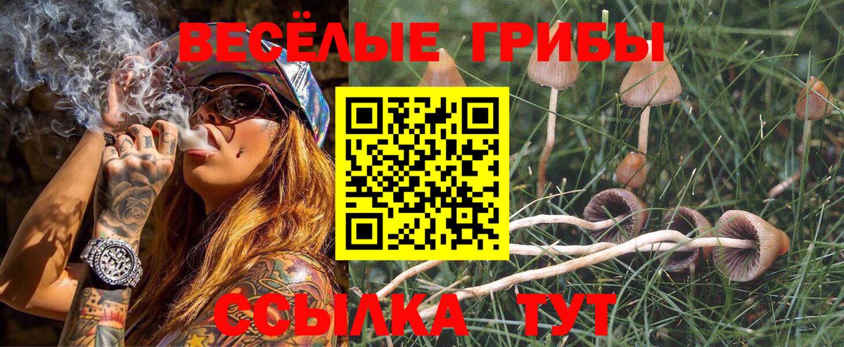 Тимашёвск  Псилоцибиновые грибы прущие грибы  где можно купить   Вход с VPN 